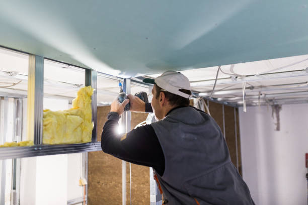 Insulation Repair Services in Winter Haven, FL